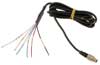 AiM 7-Pin to CAN/ RS232 Wiring Harness for SoloDL/ EVO4S, 2M
