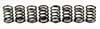Ford 2.0L Valve Spring Set of 8