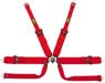 OMP Formula/HANS Camlok Competition Harness - FIA Approved