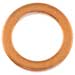 Soft Copper Crush Washer