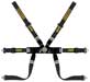 Sabelt Steel S622 Formula 2x2 FIA Harness, Sewn Loop PU, Red