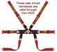 Sabelt Steel S622 Formula 2x2 FIA Harness, Sewn Loop PU, Red