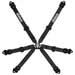 Lifeline Becketts 6-Point 2x2 Pull Up FIA Harness, Black