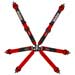Lifeline Copse 6-Point 2x2 Pull Down FIA Harness, Red