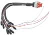 AiM Analog Input Harness for Strada 1.2 Digital Dashes