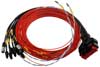 AiM Wiring Harness for PDM08 Units with 120" Output Leads