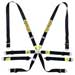 Sabelt Enduro Silver PU / PD FIA Harness, Black