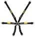 Schroth Enduro 2x2 FIA Harness, 2" Shoulder 2" Lap Pull Down