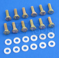Fill Plate Bolt & Washer Kit, 12 each