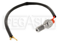 Single Banjo Bolt with Brake Light Switch, 3/8-24, Stainless
