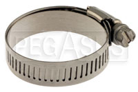 Lined Stainless Steel Worm-Drive Hose Clamps