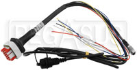AiM ECU CAN Harness for MX-Series 1.2 Strada Dashes