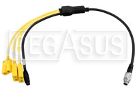 AiM Split 1 719 Analog  + 3 TC 50cm