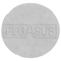 Paragon Blower Inlet Air Filter Element only (each)