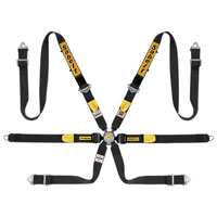 Sabelt Argent Series A622 Enduro 2x2 FIA Harness, Pull Down