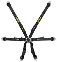 Schroth 2x2 FIA Flexi Harness