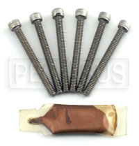 Replacement Hardware Kit for 4" Glass pack Series, 6 Bolt