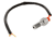 Single Banjo Bolt with Brake Light Switch, 3/8-24, Stainless