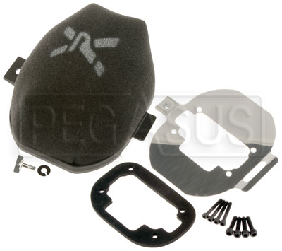 Weber Rebuild Kit for 32/36 DGV / DGAV / DGEV Carburetor - Pegasus