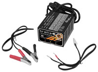 Click for a larger picture of Braille Advanced AGM 12v Battery Charger, 2 Amp