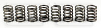 Large photo of Ford 2.0L Valve Spring Set of 8, Pegasus Part No. 172-19