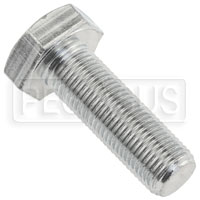 Click for a larger picture of 2.0L Bolt for Cam or Aux Shaft Pulley, each