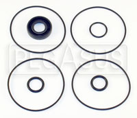 Large photo of Ford 2.0L Titan Standard Pump O-Ring & Seal Kit, Pegasus Part No. 177-11