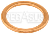 Click for a larger picture of Replacement Gasket, Fits 20mm Male Plug