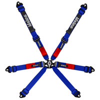 Click for a larger picture of Lifeline Copse 6-Point 2x2 Pull Down FIA Harness, Blue