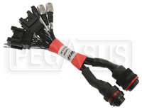 Click for a larger picture of AiM MXL Pista to MXL 2 / MXG / MXS Adapter Harness