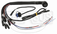 Click for a larger picture of AiM Primary Harness for MXL2, MXG / MXP / MXS