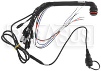 Click for a larger picture of AiM 37 Pin Harness for MXm Dash