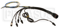 Large photo of EVO3 Pro Auxiliary Harness, Pegasus Part No. MC-326