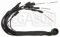 Click for a larger picture of AiM MXL Pro 05 Main Harness