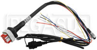 Click for a larger picture of AiM ECU CAN Harness for MX-Series 1.2 Strada Dashes