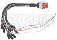 Click for a larger picture of AiM Analog Input Harness for Strada 1.2 Digital Dashes