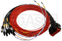Click for a larger picture of AiM Wiring Harness for PDM08 Units with 120" Output Leads