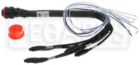 Click for a larger picture of AiM Auxiliary Harness for EVO5 Data Logger