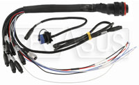 Click for a larger picture of AiM Main Harness for EVO5 Data Logger