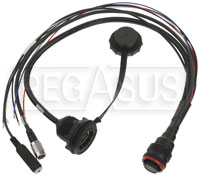 Click for a larger picture of AiM Full Harness for SmartyCam3 Dual
