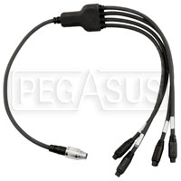 Click for a larger picture of AiM Split 4 719 Analog 50cm Cable