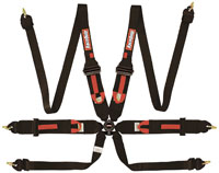 Click for a larger picture of RaceQuip 6-Point FHR Sedan 2/3x3 FIA Harness, Pull Up