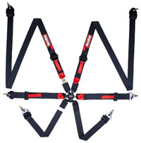 Click for a larger picture of RaceQuip 6-Point FHR Sedan 2x2 FIA Harness, Pull Up