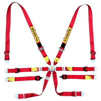 Click for a larger picture of Sabelt Enduro Silver PU / PD FIA Harness, Red