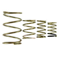 Click for a larger picture of Turbosmart GenV WG38/40 Spring Replacement Kit